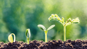 Superhandig: de fixed versus de growth mindset